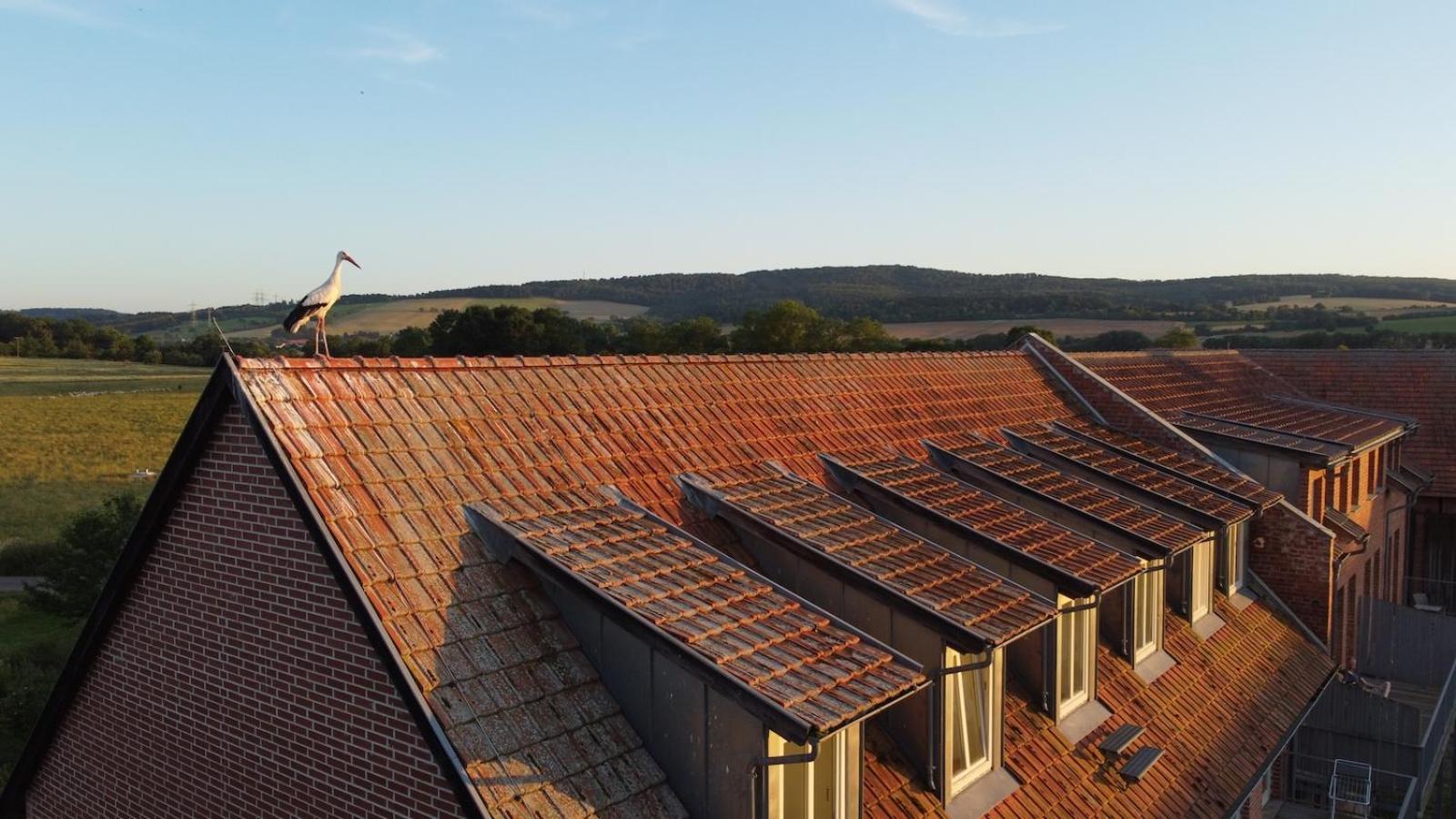 Biohotel Stiftsgut Wilhelmsgluecksbrunn Creuzburg 외부 사진